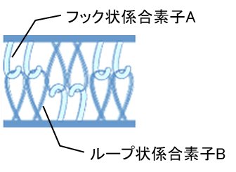 マジックテープのこだわり②